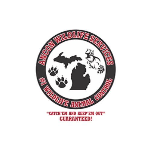 Ancon Wildlife Services